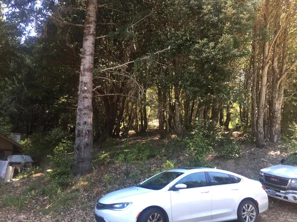 85 Carson Ct, Whitethorn, CA 95589