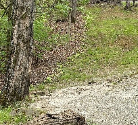 2nd image of 3776 Sugar Grove Valley Rd