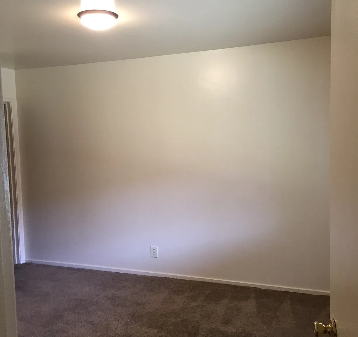 1 bed, 450 sqft, $1,500 — Photo 2