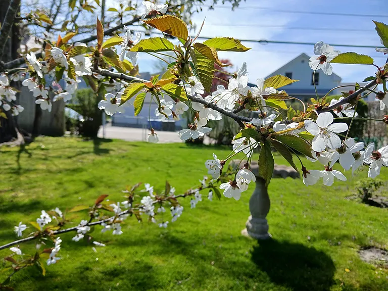 31 Weaver Ave — Photo 16