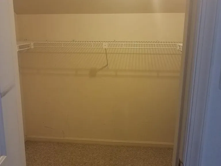 Master bedroom 1 of 3 closets