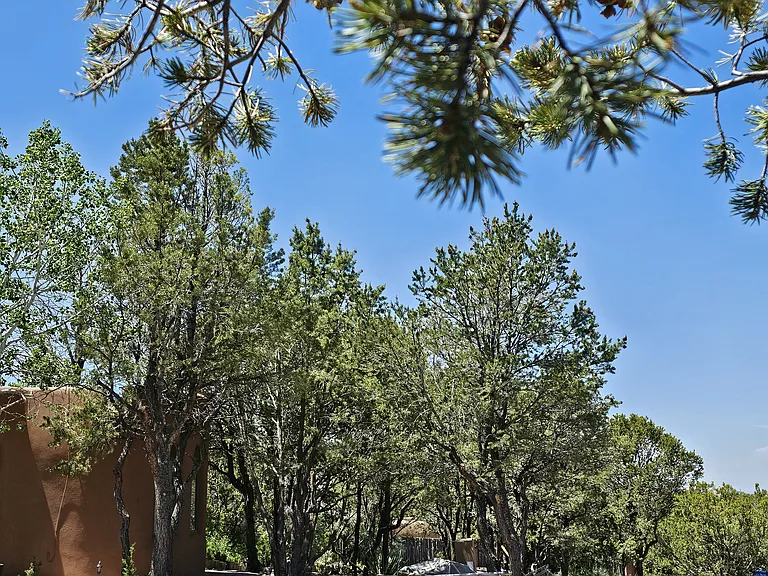 1306 Lejano Ln — Photo 20