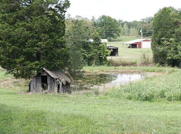 Pond and spring house