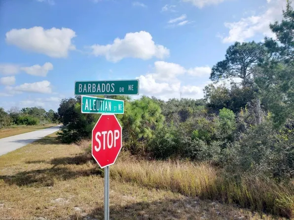349 Aleutian St NE, Lake Placid, FL 33852