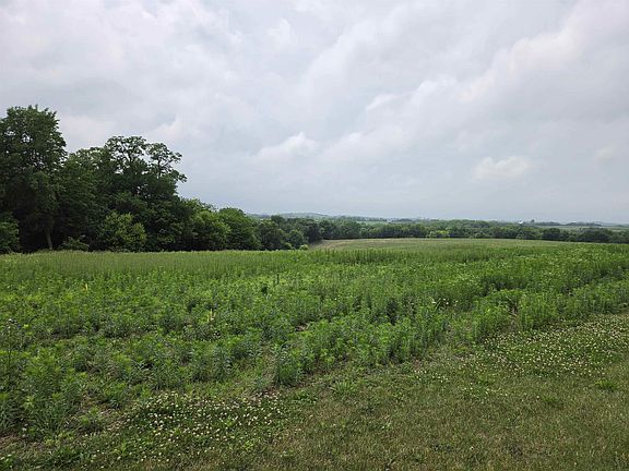 5th image of 320 Acre St