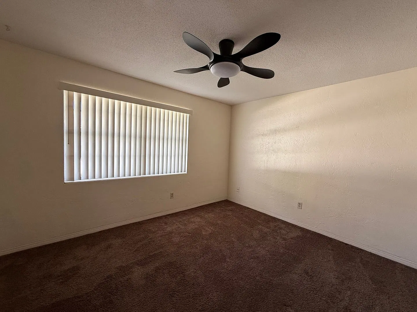 Magnolia Apartments — Photo 4