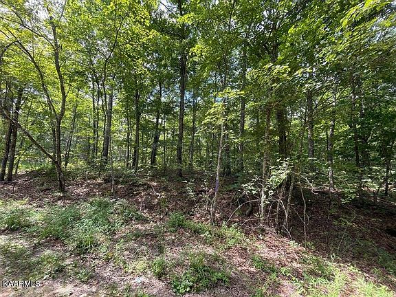 5th image of Peachtree Dr