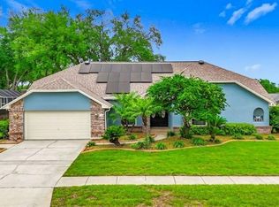 2414 Buckhorn Run Dr, Valrico, FL 33596