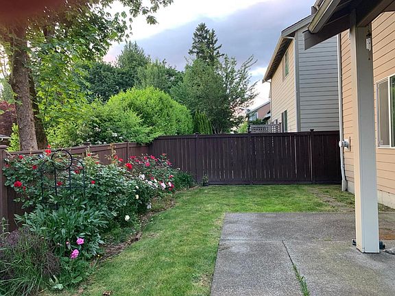 Back yard and patio