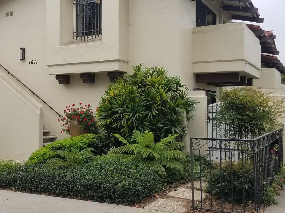 Lush garden surrounding