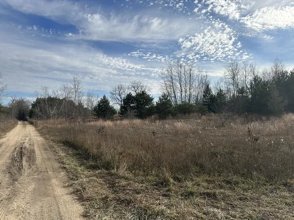 Eastcott Rd, Elmira, MI 49730