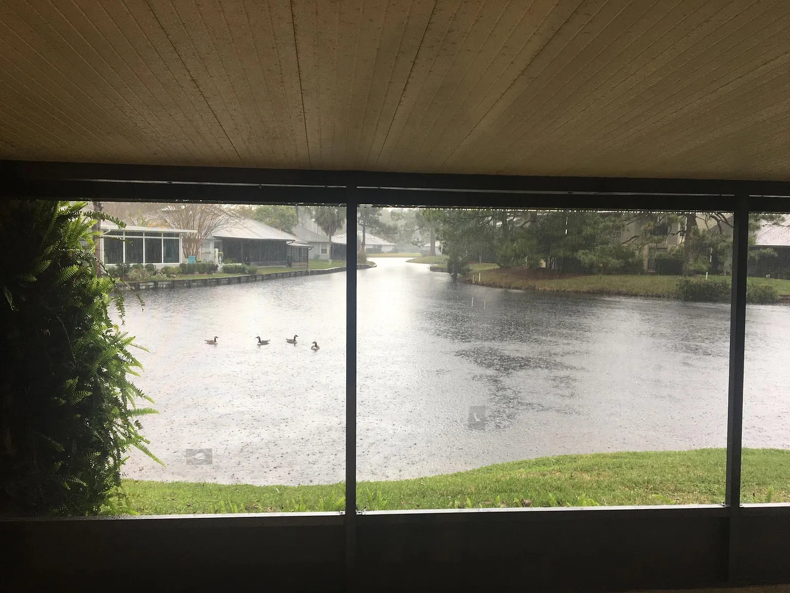 3 bed, 1300 sqft, $3,000 — Photo 3
