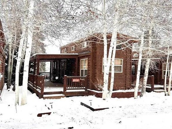 64 W Taylor Drive #64, Almont, CO 81210