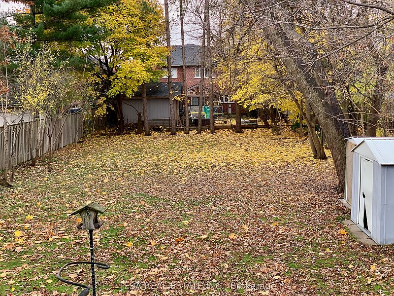 Toronto House for rent - 4 Bedrooms — photo 39