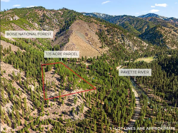 Payette Plateau Lot 3, Lowman, ID 83637