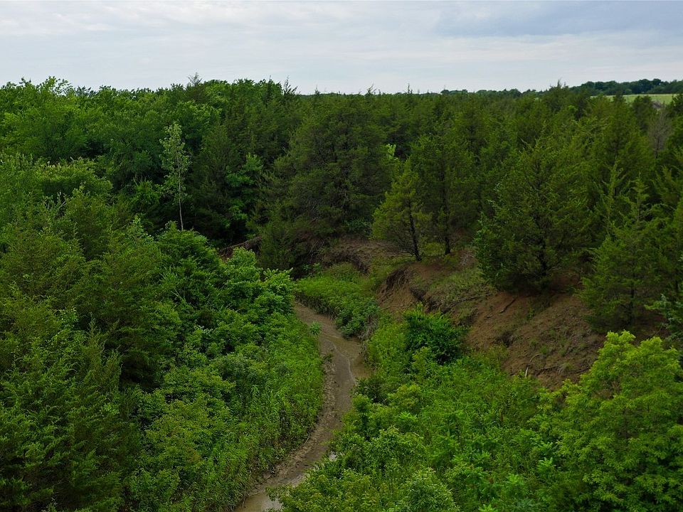 Tbd County Road 2909, Dodd City, TX 75438 MLS 20346391 Zillow