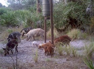 49591 Bermont Rd, Punta Gorda, FL 33982