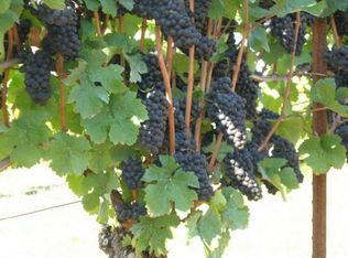 33443 S Sawtell Rd, Molalla, OR 97038