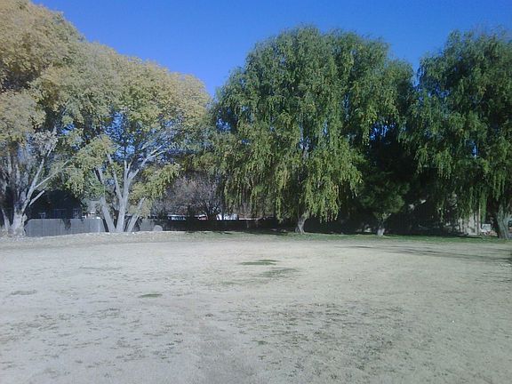 Back field