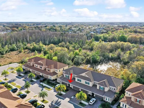 12314 Terracina Chase Ct, Tampa, FL 33625