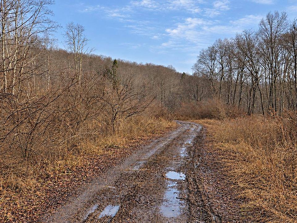 1st image of 2536 Coggins Knob Rd