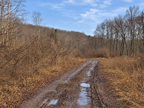 2536 Coggins Knob Rd, Mount Nebo, WV 26679