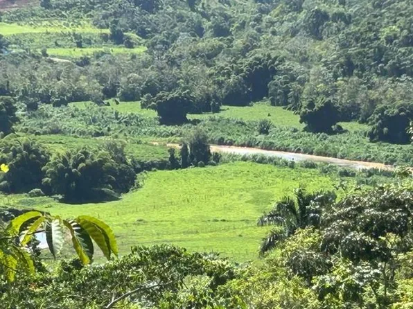 Carr 424 BO GUACIO, SAN SEBASTIAN, PR 00685