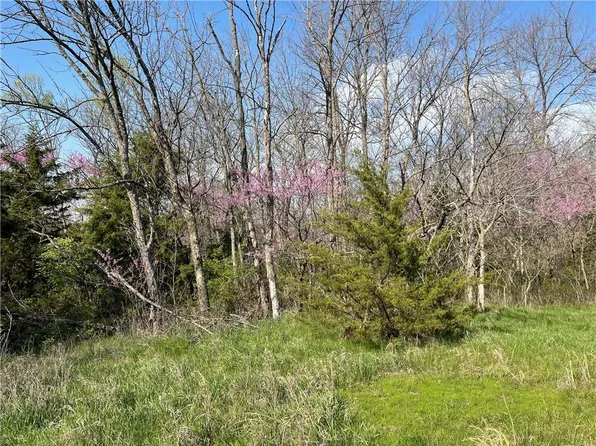 E 235th St, Peculiar, MO 64078