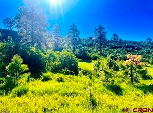 531 Santino Pl, Pagosa Springs, CO 81147