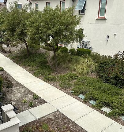 5th image of 358 Serra St