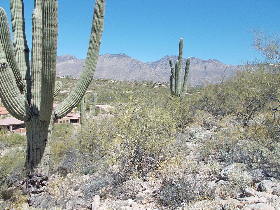 1st image of 4211 N Sierra Chapita