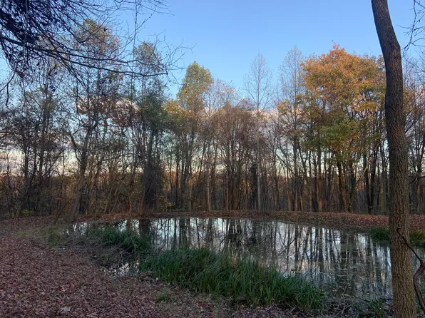 0 Potts Hill Rd Tract 13, Bainbridge, OH 45612