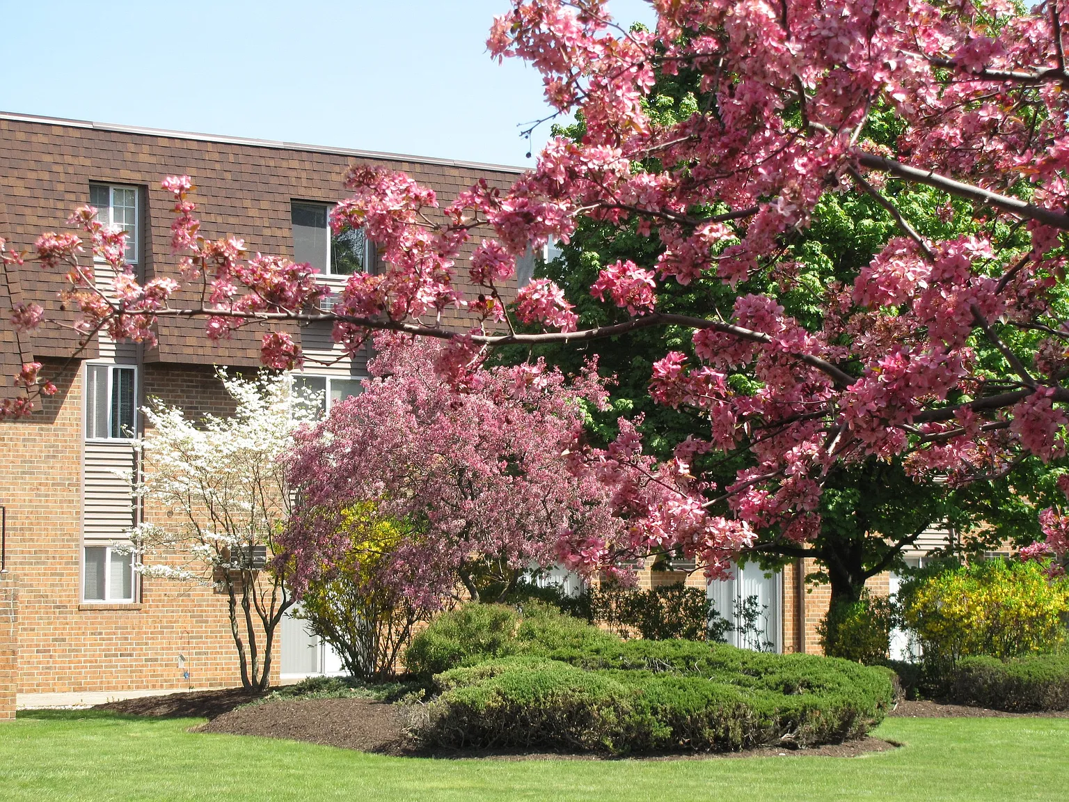 Kent Village Apartments — Photo 3