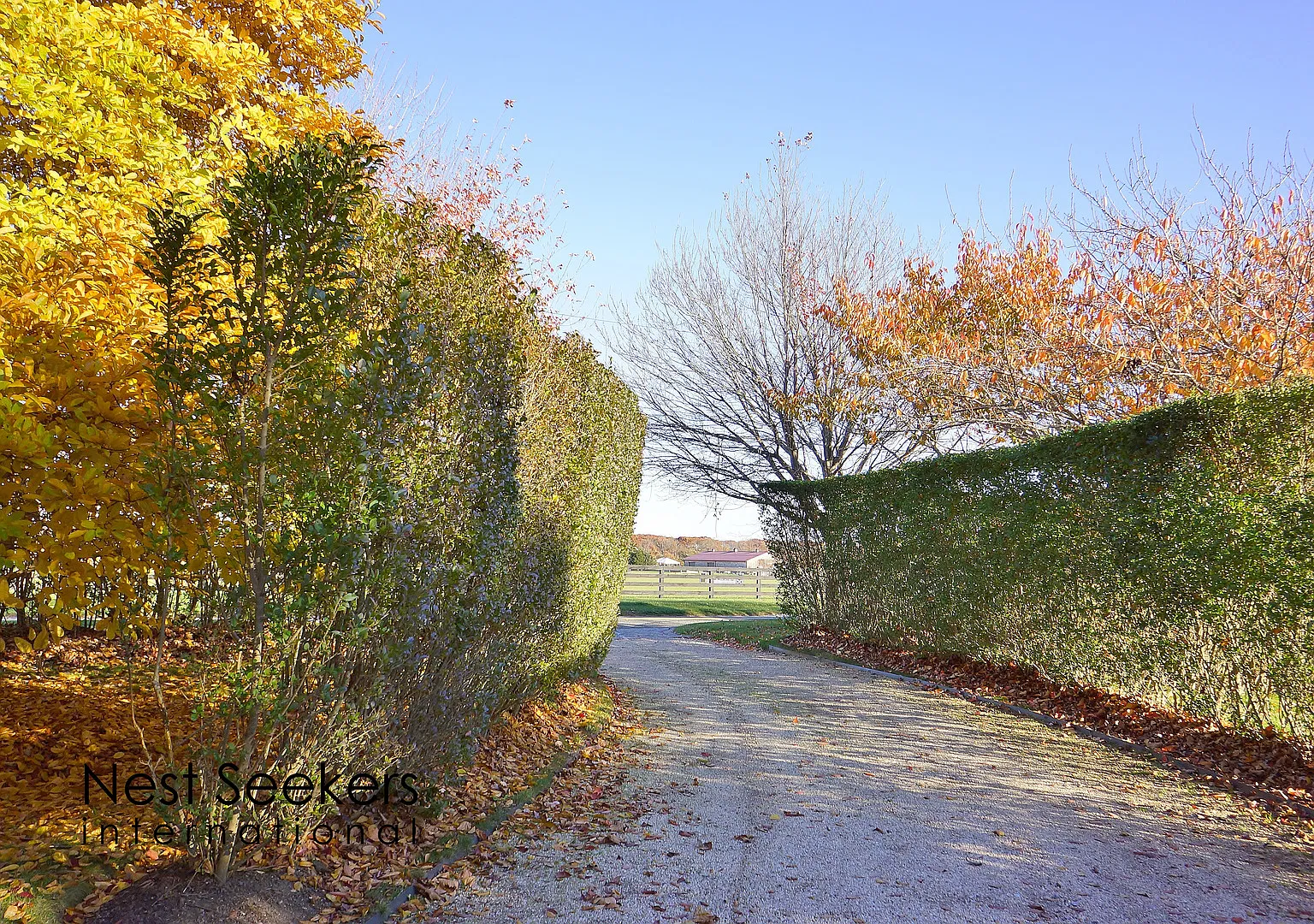 Luxury Retreat in Bridgehampton — Photo 4