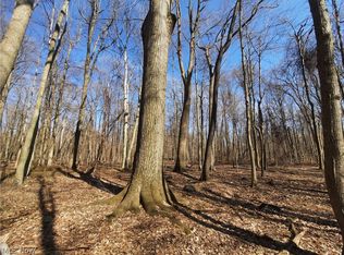 Kinsman Rd, Burton, OH 44021