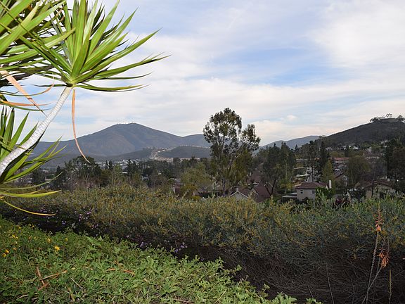 View From Back Patio - Wow!