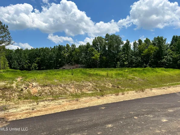 15 Riverwood Cv S, Lake Cormorant, MS 38641