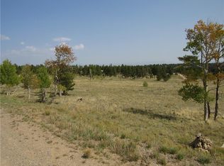 2226 Pitchfork Rd, Hartsel, CO 80449