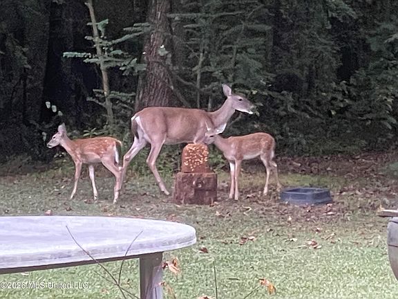 4th image of 3981 Pleasant Hill Rd