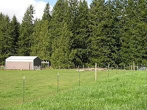 Barn, fenced pasture bordered by evergreens.