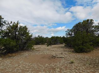 174 Agua Fria Loop, Quemado, NM 87829