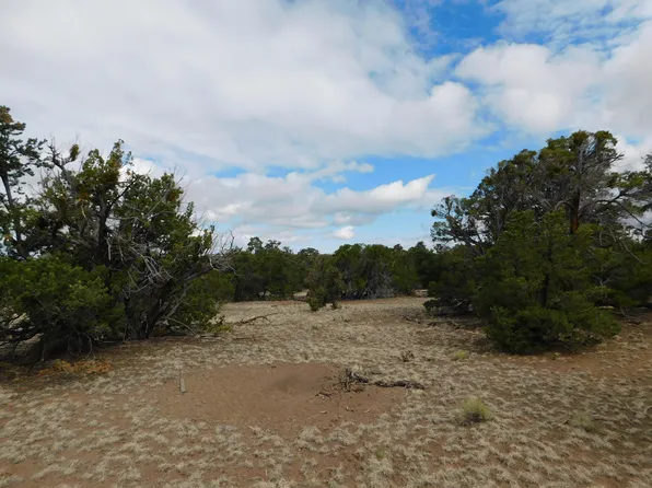 174 Agua Fria Loop, Quemado, NM 87829