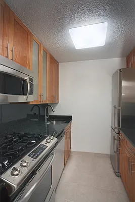 Rented by Manhattan Skyline | media 2