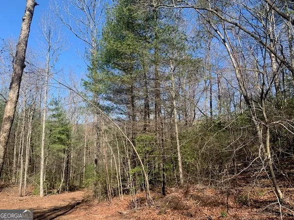 0 E New Hope Rd Tract A, Ellijay, GA 30536