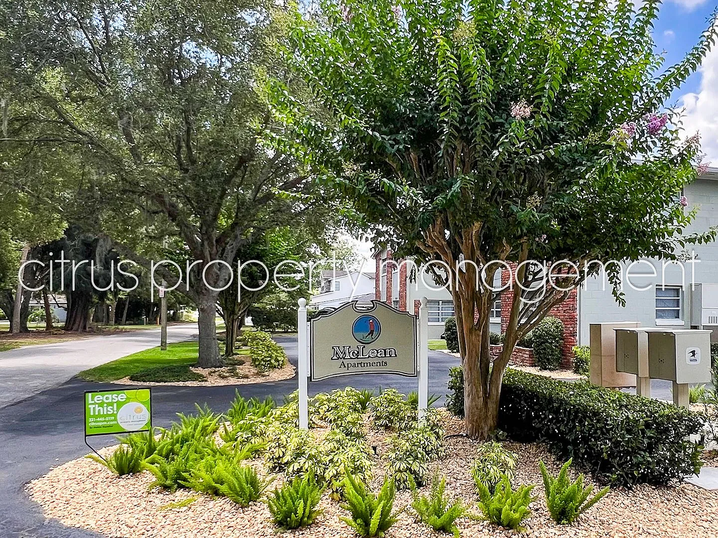McLean Fairway 3026C — Photo 3