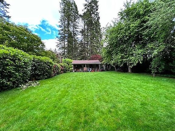 Art Studio Backyard#2