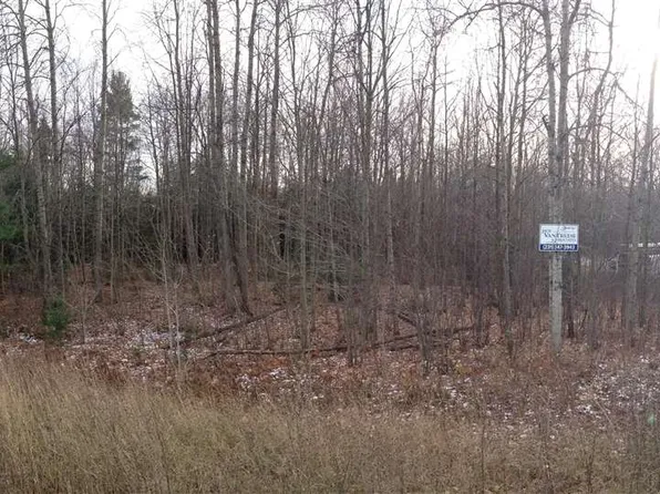 8555 Moeller Dr, Harbor Springs, MI 49740