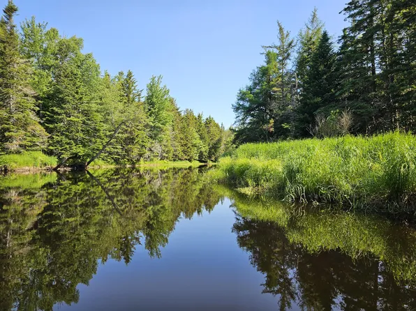 Lot 49 Meeting House Road, Columbia, ME 04623