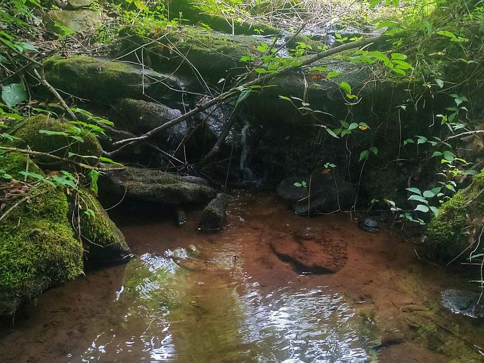 1st image of 185 Raccoon Ridge Rd