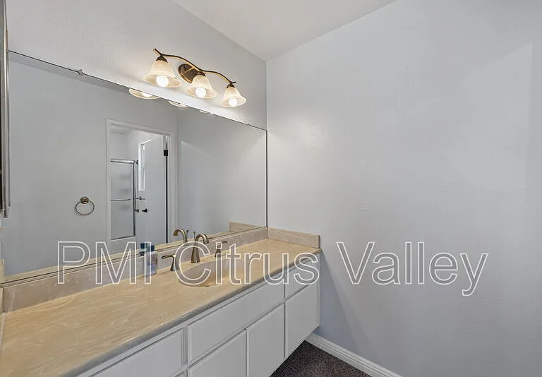 15354 Black Shadow Dr — Photo 28